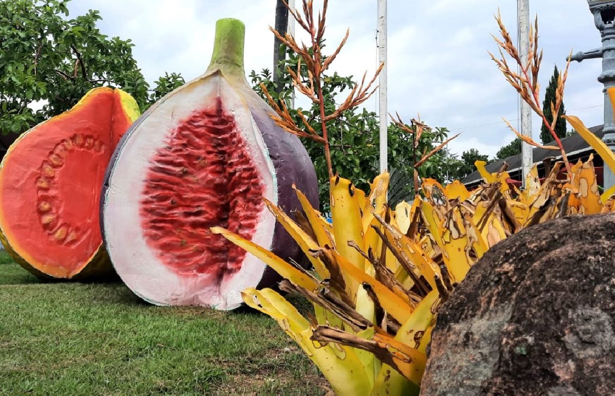 Festa do Figo e Expogoiaba em Valinhos vai até 28 de janeiro
