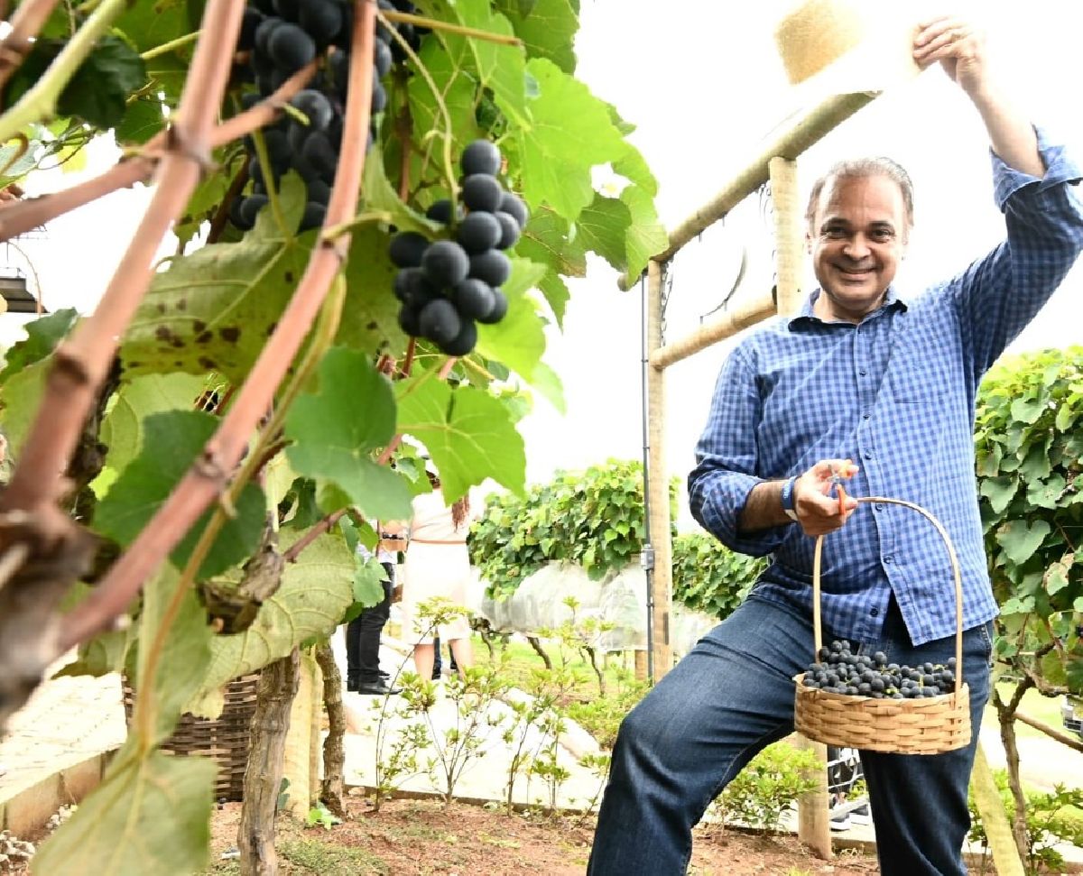 Festa da Pisa da Uva estimula o Turismo Rural em São Roque