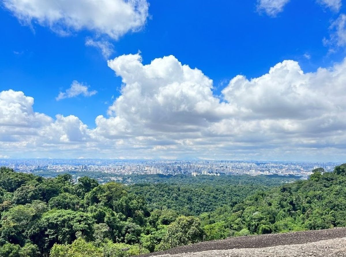 Parque Estadual da Cantareira completa 61 anos com programação especial