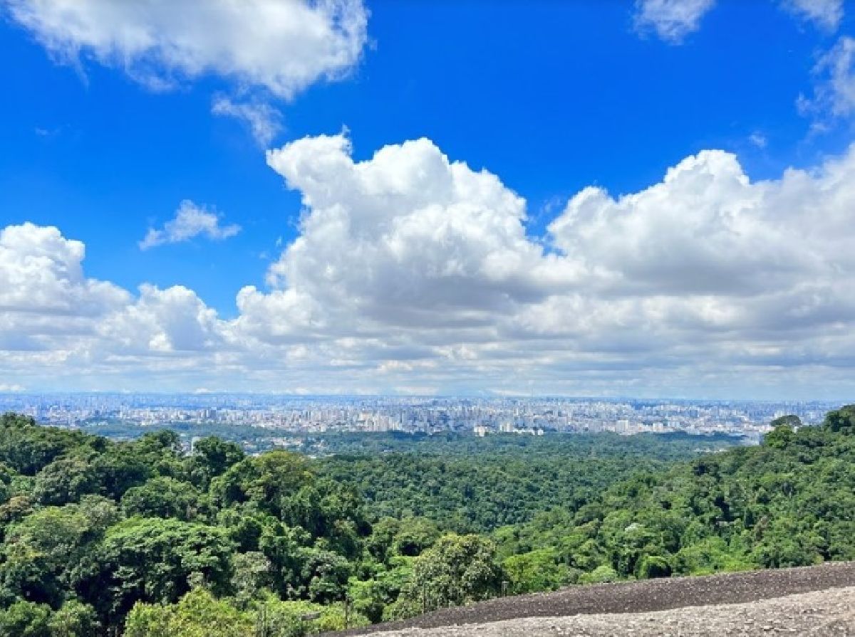 Parque Estadual da Cantareira completa 61 anos com programação especial