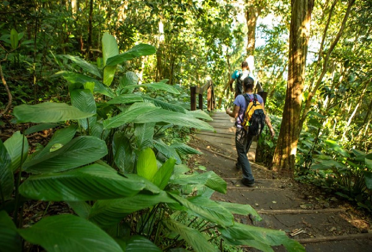 Parque Bondinho Pão de Açúcar promove evento de sustentabilidade e apresenta resultados de 2023