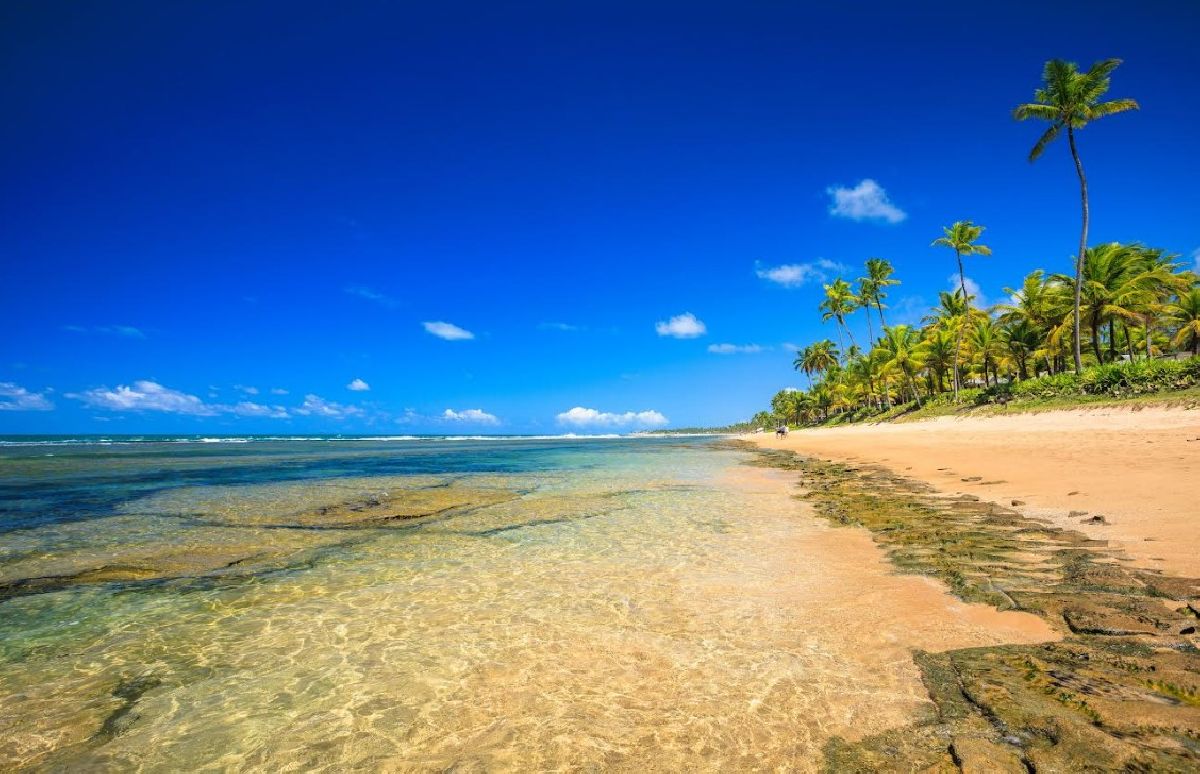 Muro Alto é destaque na lista das praias mais bonitas do mundo 