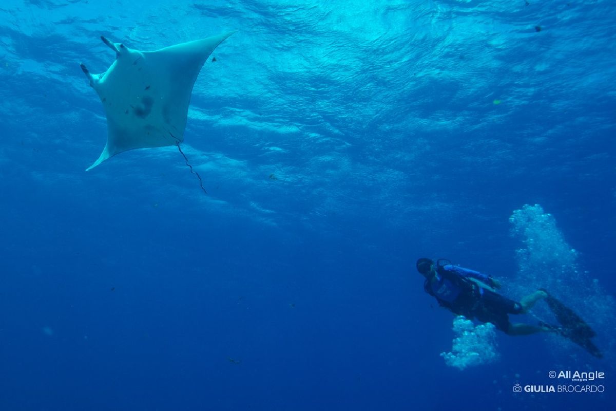 Turismo de aventura: descubra passeios incríveis pelas águas brasileiras