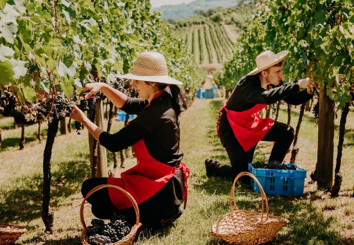 Criatividade é aposta de empreendedores do Vale dos Vinhedos para fortalecer turismo