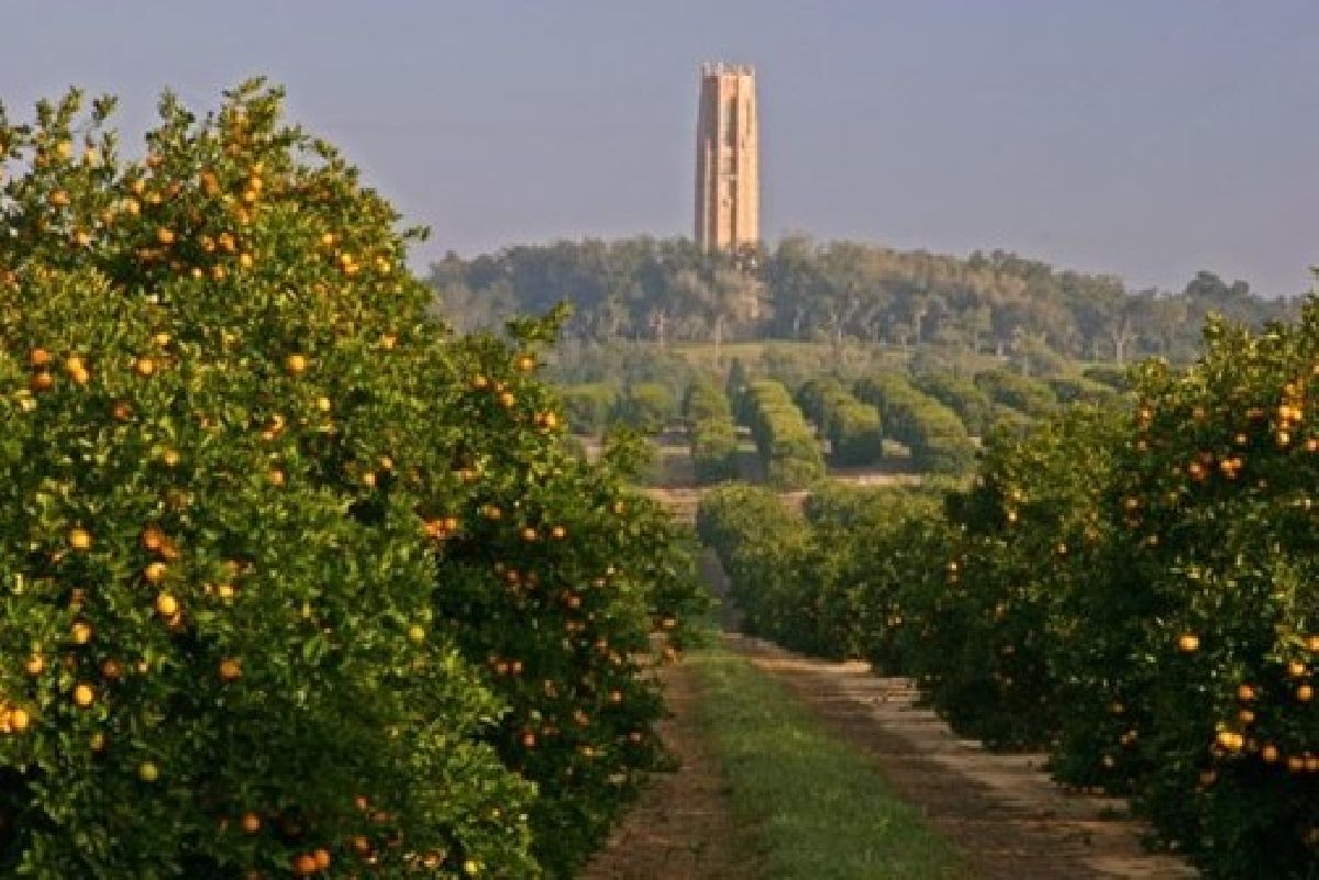 Bok Tower Gardens, um lindo jardim na Flórida Central