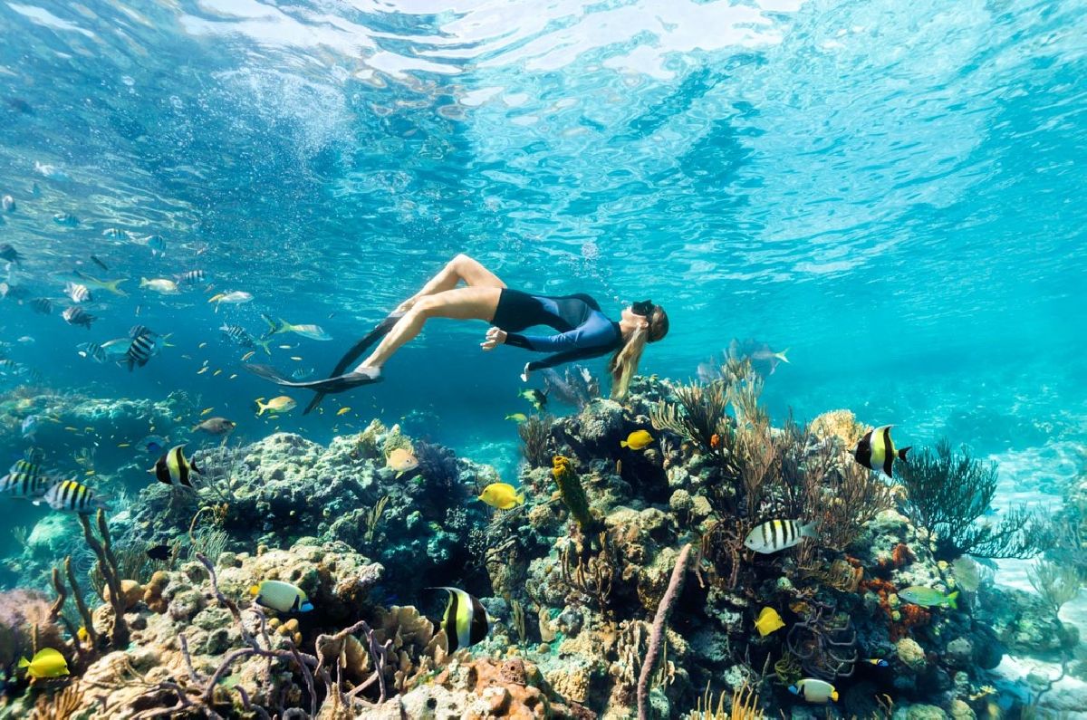 Explore a beleza natural e os tesouros submarinos da Barreira de Recifes de Andros, nas Bahamas