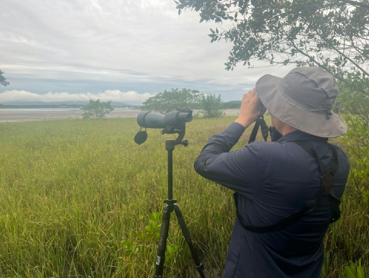 Joinville desponta como destino promissor para o turismo de observação de aves