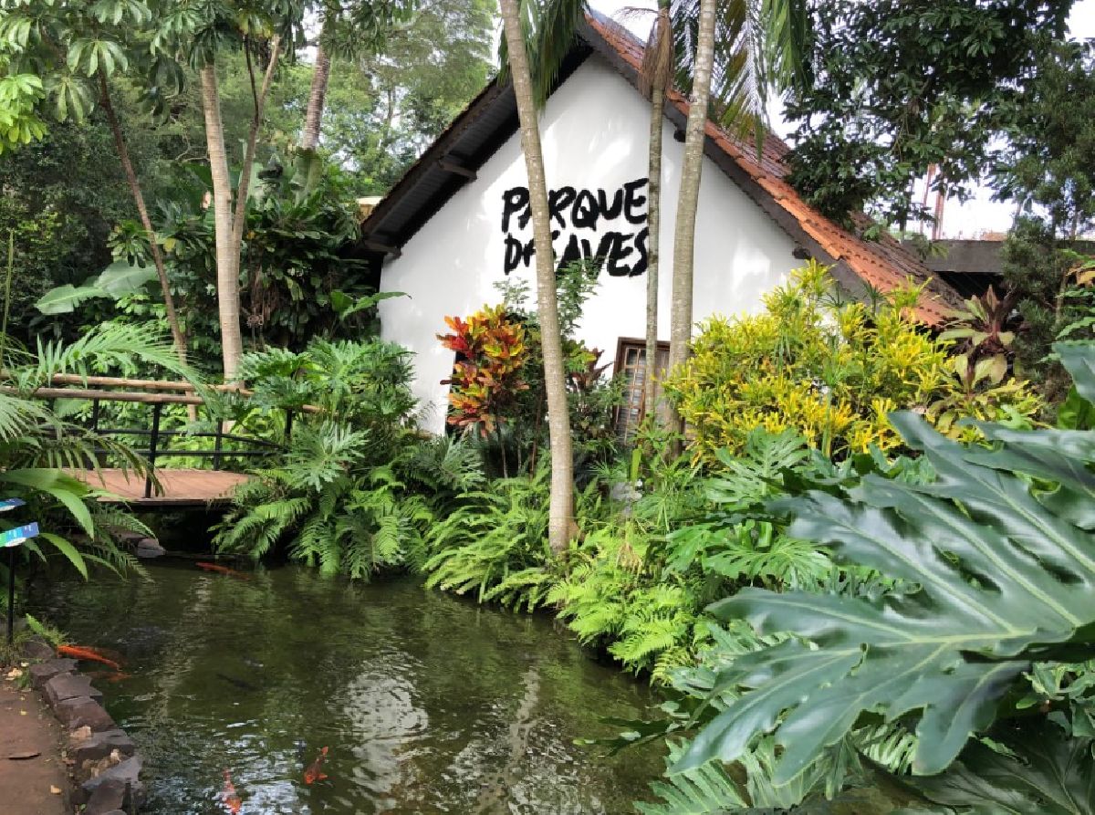 Férias de Julho no Parque das Aves em Foz do Iguaçu/PR. Um mergulho encantador na vida selvagem da Mata Atlântica