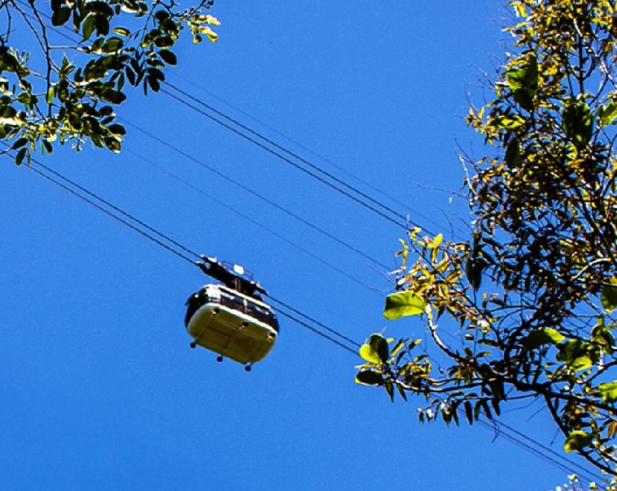 Parque Bondinho Pão de Açúcar® inaugura experiência sobre a baleia jubarte no Deck Cápsula do Tempo e terá expedição para avistamento da espécie