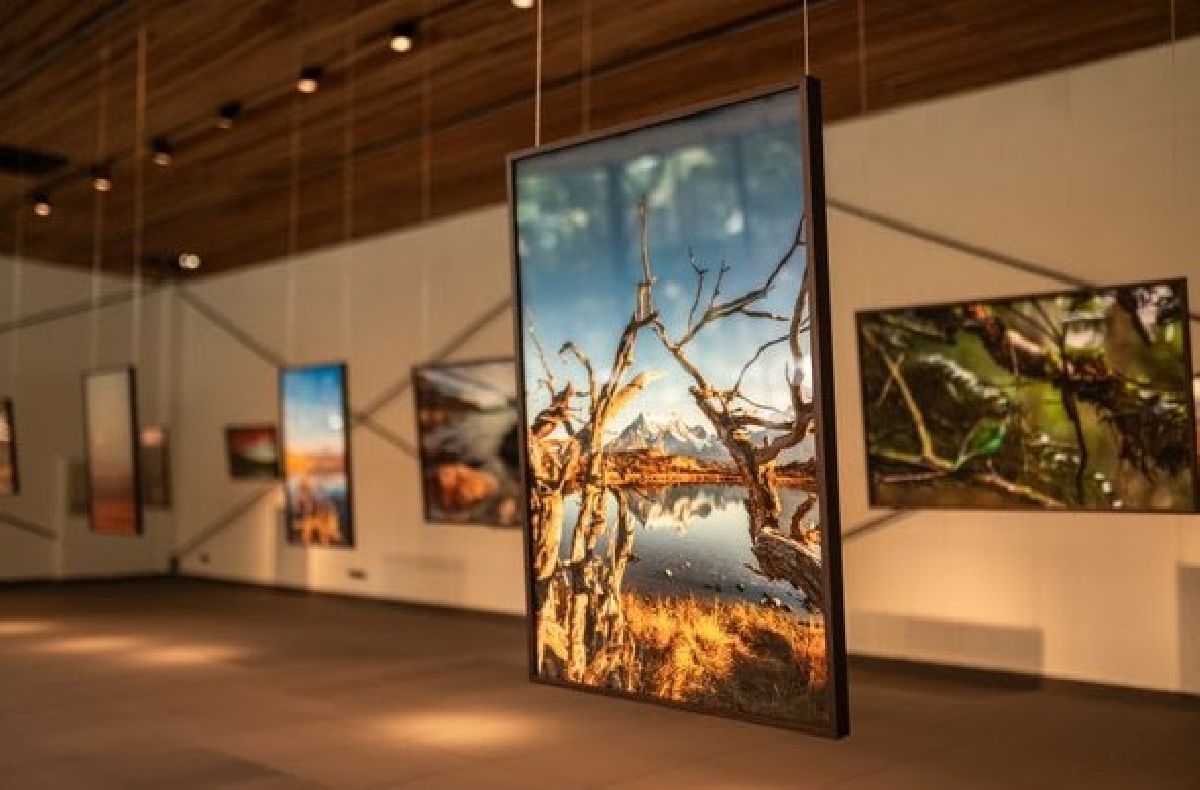 Hotel Ort recebe exposição fotográfica do artista Felipe Cuoco
