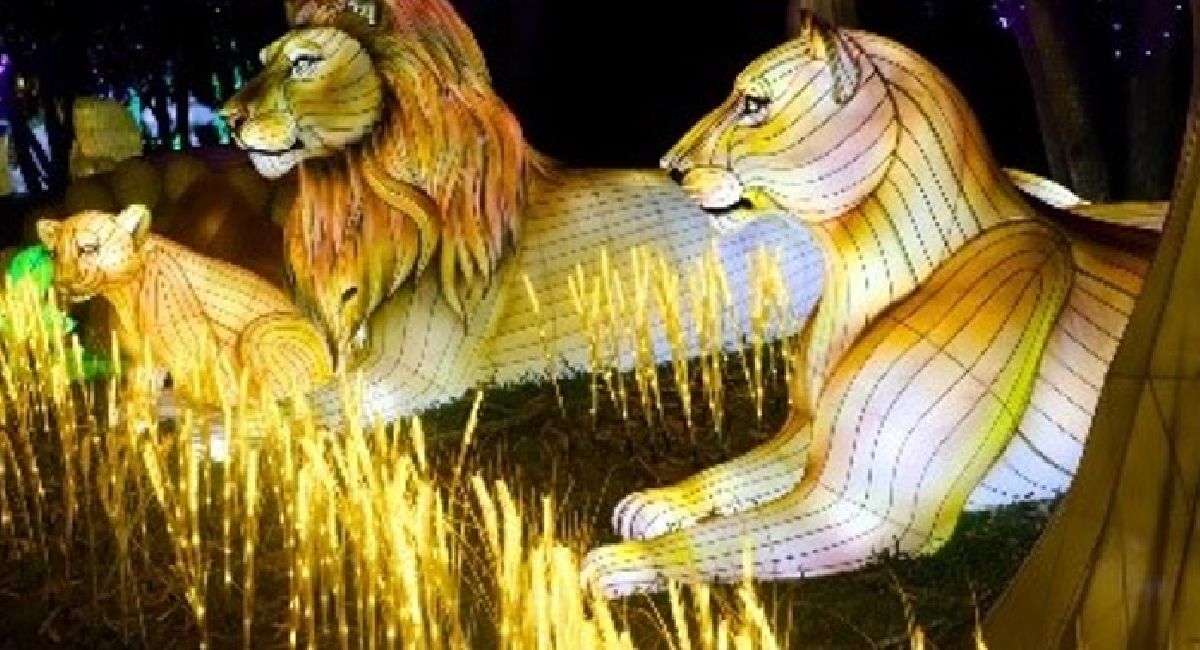 Julho de 2025 é mês de Super Férias no Wetn Wild