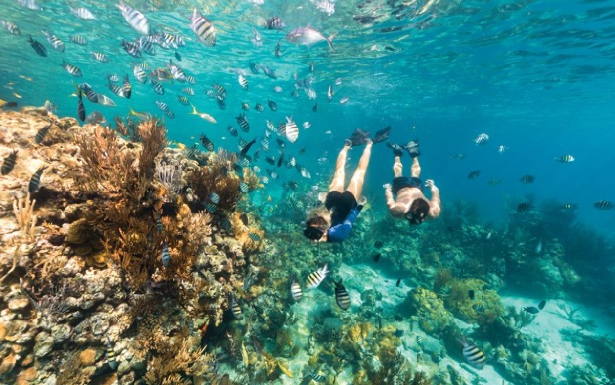 Bahamas: paraíso azul para mergulhadores e amantes da natureza