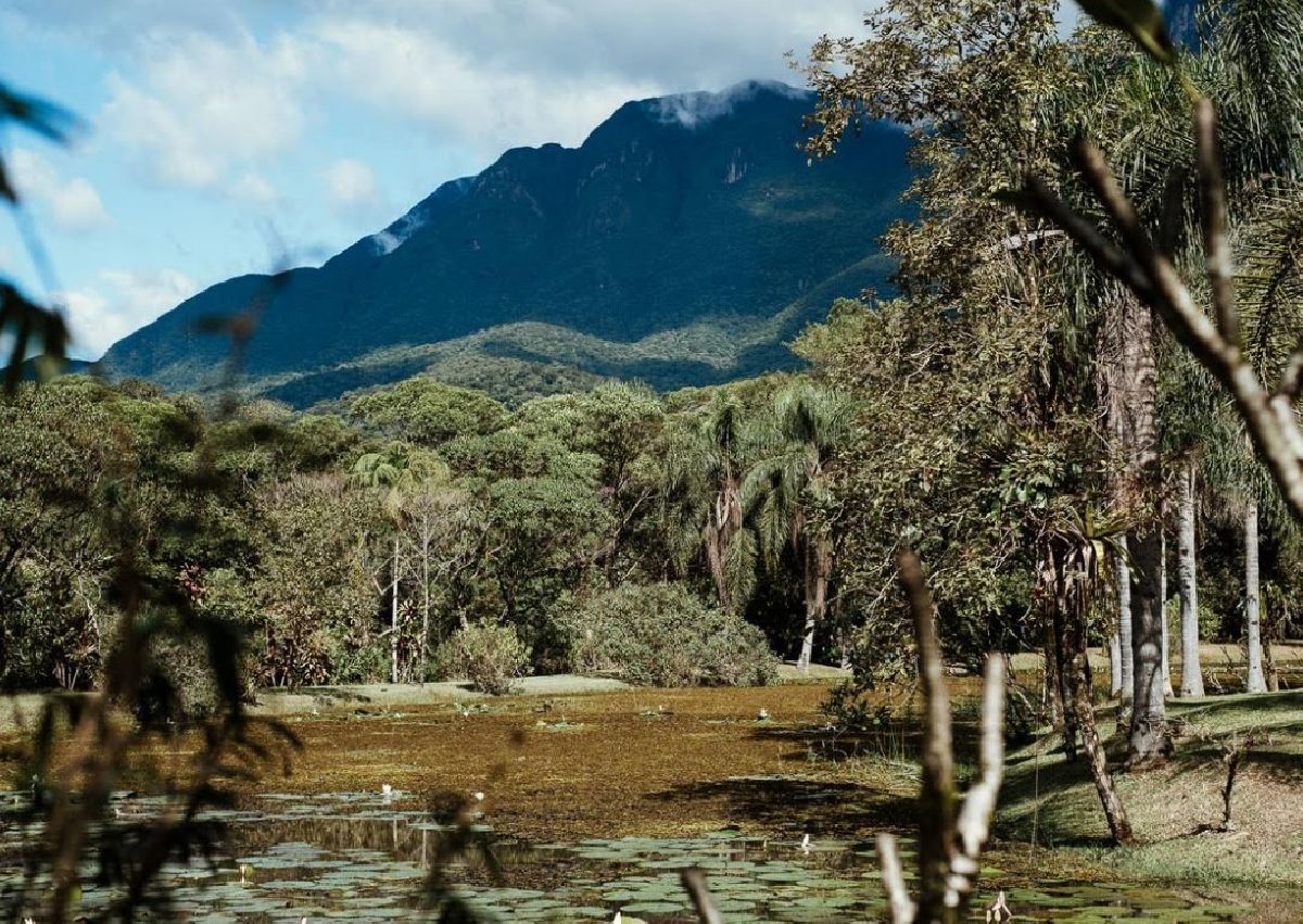 Morretes vira referência em eventos e experiências em meio à natureza