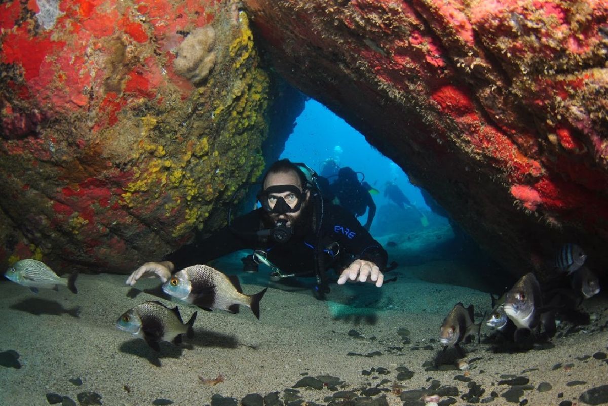 Descubra por que Fernando de Noronha é o melhor destino de mergulho do país e um dos melhores do mundo
