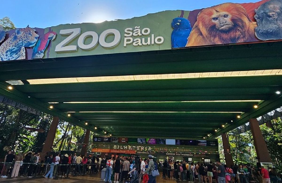 Reabertura do Simba Safari e novidades no Zoo São Paulo atraem mais de 270 mil visitantes nas férias de julho