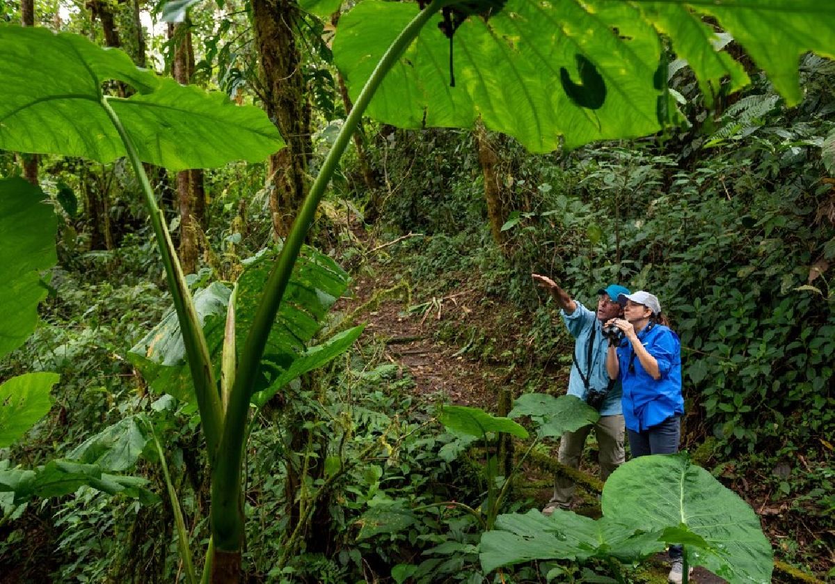 A grande viagem natural: Panamá, coração migratório