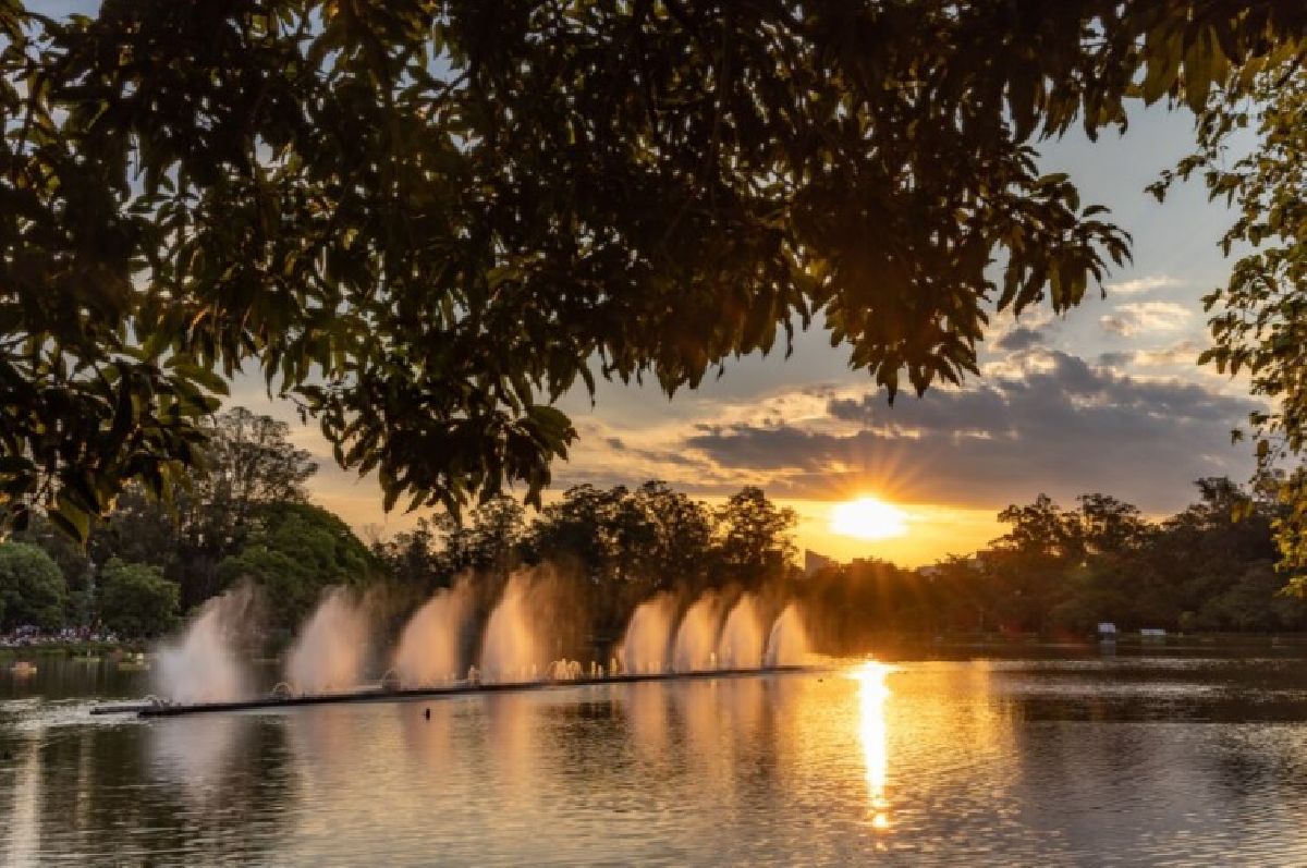 Última semana de agosto celebra cultura, lazer e bem-estar nos parques Ibirapuera e Horto Florestal