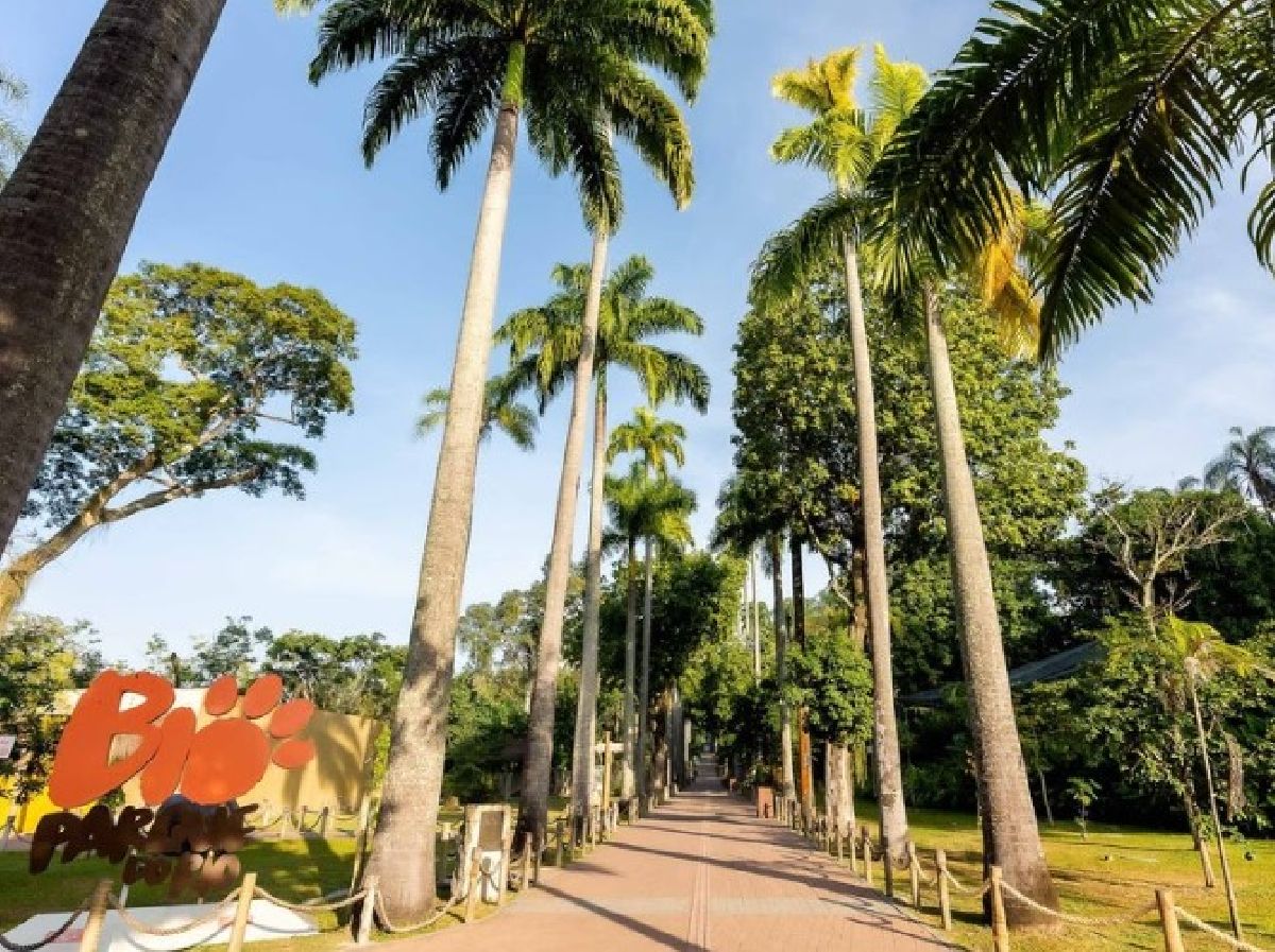 BioParque do Rio participa do 7º Festival Museu Nacional Vive com exposição educativa