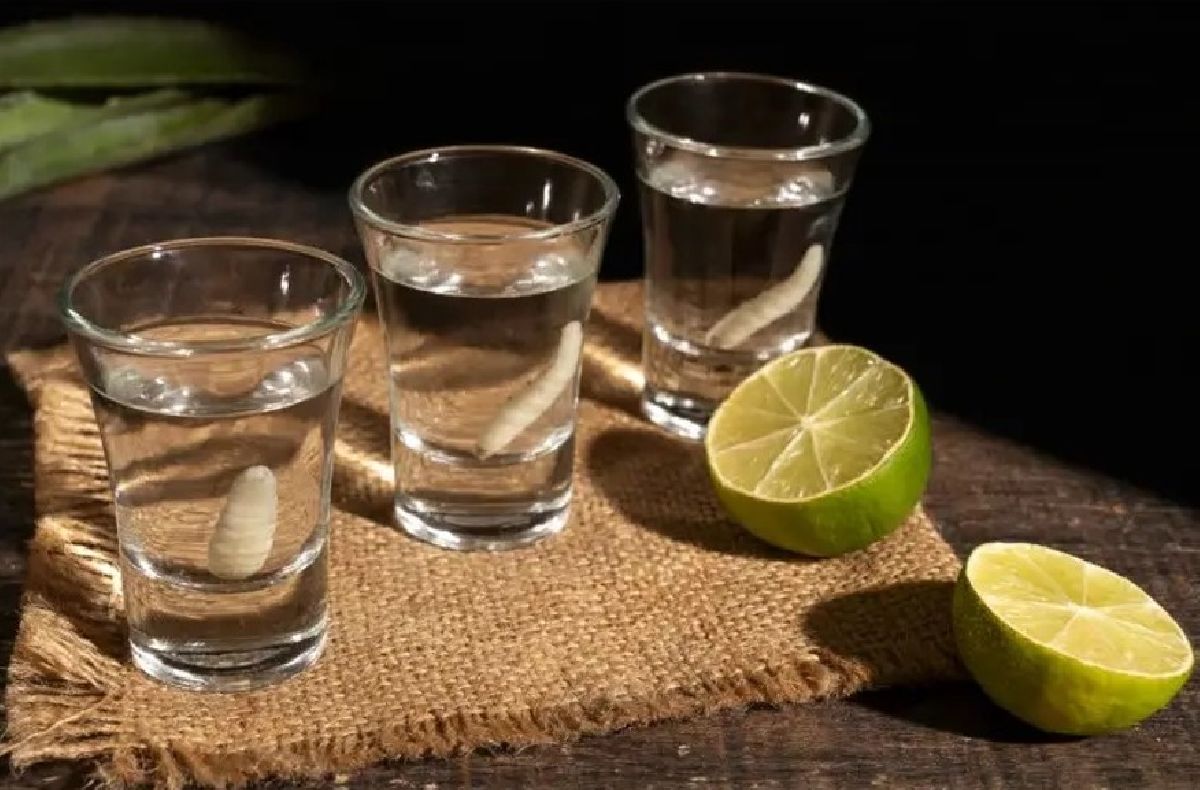 Produtores de cachaça de Minas Gerais participam de Agenda de Relacionamento com compradores de todo o país