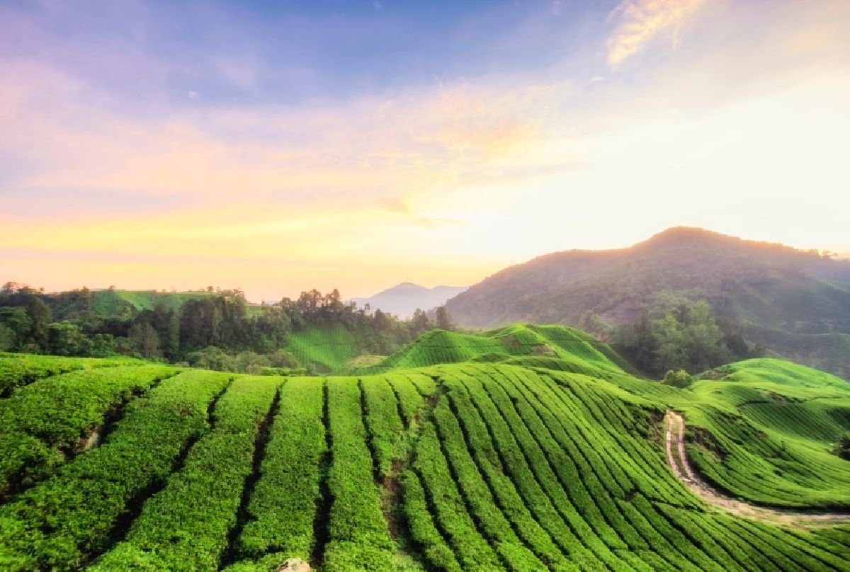 Da selva ao mar: rotas panorâmicas pela Malásia