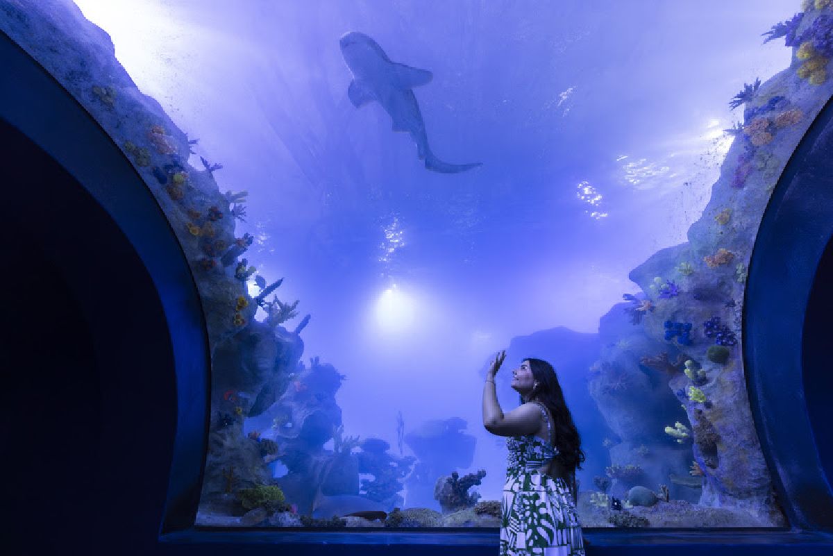 AquaFoz inaugura em novembro com proposta de conectar rios e oceanos em Foz do Iguaçu, com pré-venda já disponível no site do atrativo