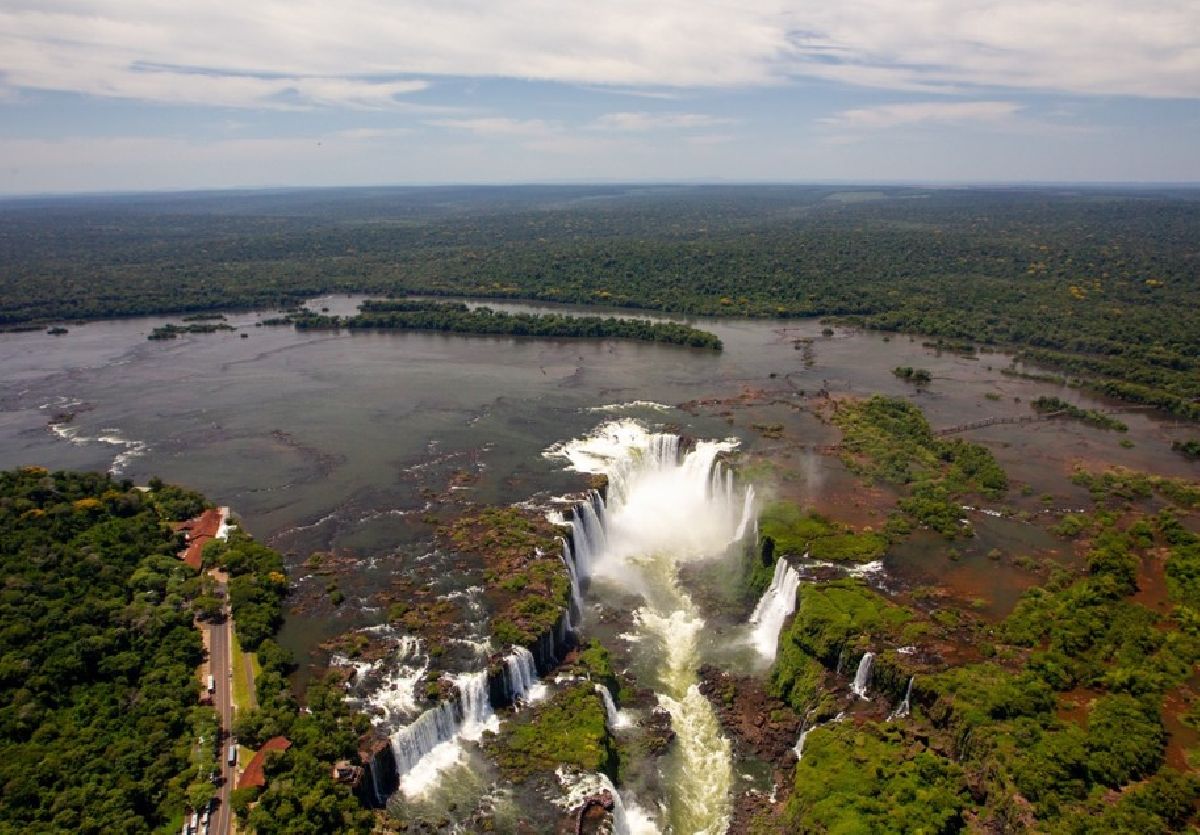 Escolha o nome da nova onça-pintada do Parque Nacional do Iguaçu
