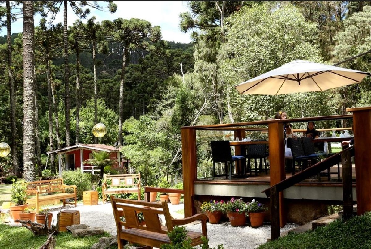 Restaurantes de Campos do Jordão são premiados em competição de gastronomia paulista