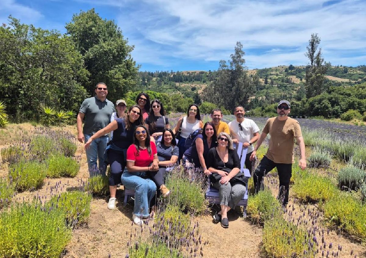 Braztoa promove missão comercial na região de OHiggins, no Chile, e fortalece conexões para novas oportunidades no mercado brasileiro