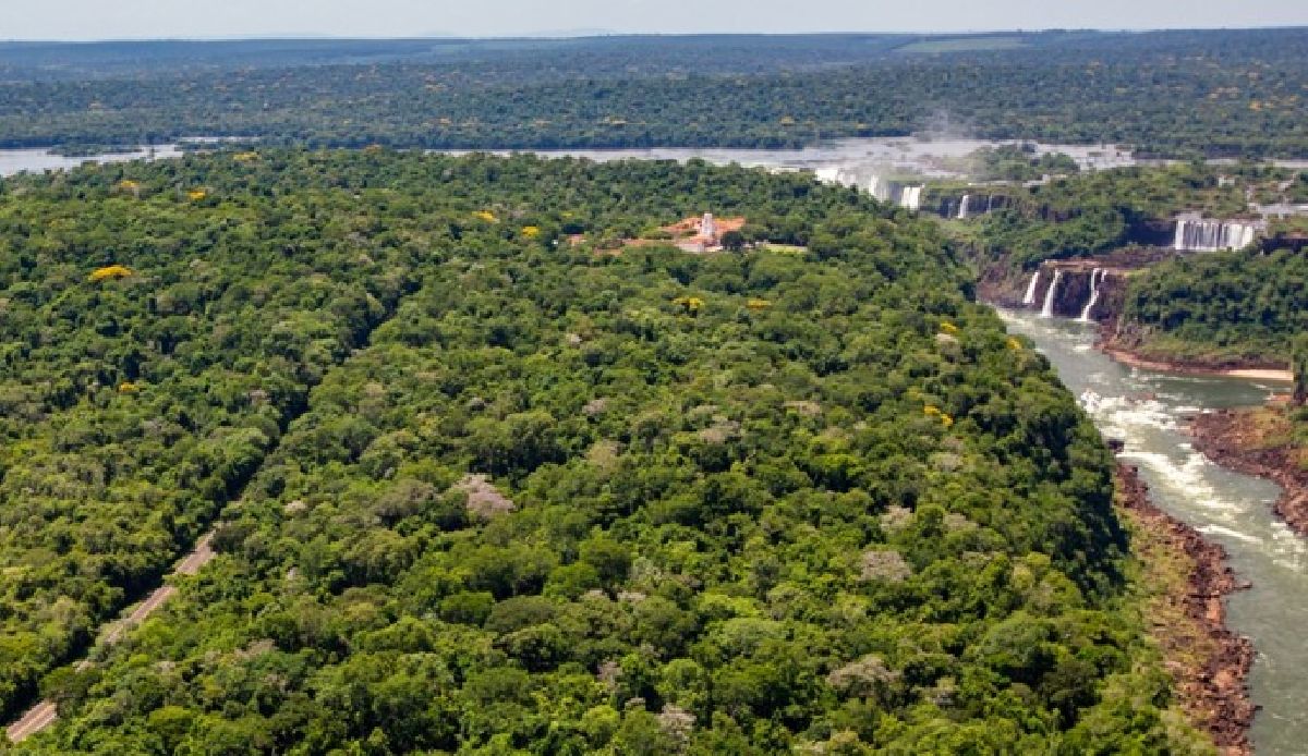 Parque Nacional do Iguaçu celebra o Dia Internacional da Onça-pintada com o 