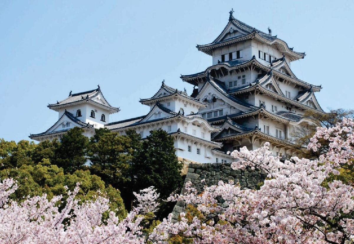 Quickly Travel registra alta de 10% no lazer e identifica mudança no comportamento do viajante