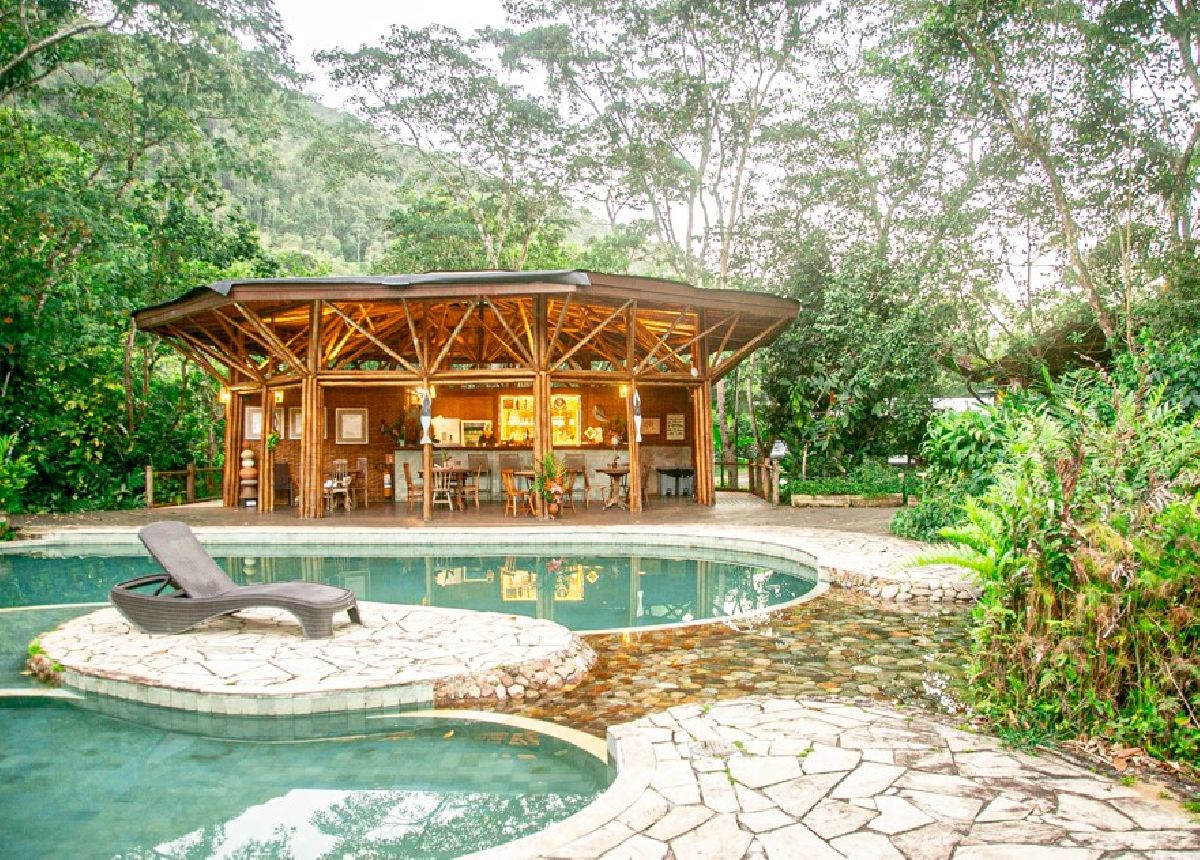 Banana Bamboo Ecolodge apresenta Ceia de Natal com foco em PANCs e ingredientes nativos da Mata Atlântica