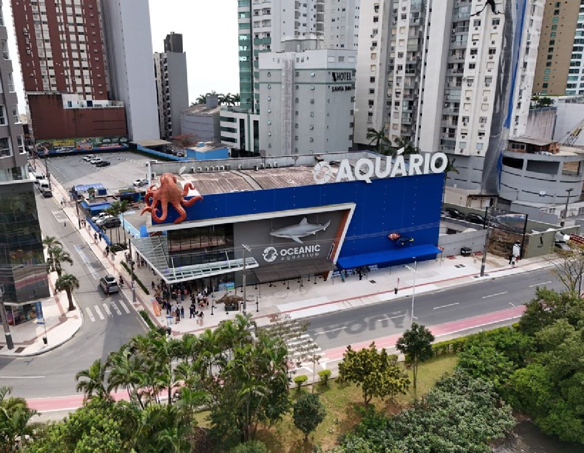 Aquário de Santa Catarina comemora seis anos e sorteia mergulho com tubarões