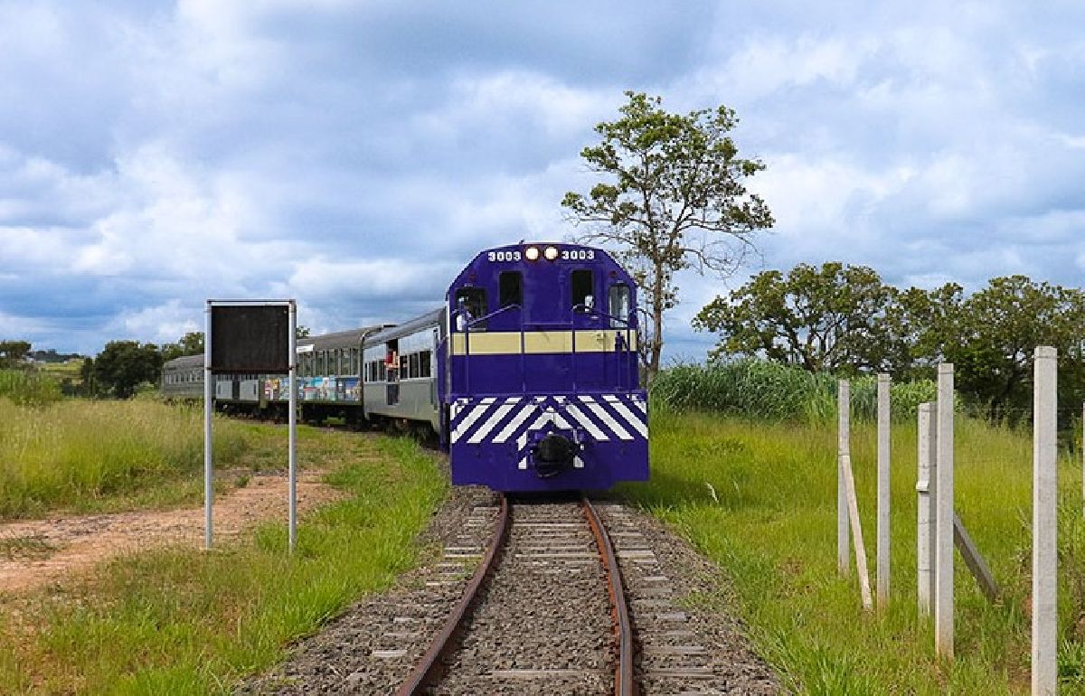 Trem da República aposta nas férias de janeiro e oferece ingresso infantil por R$ 1