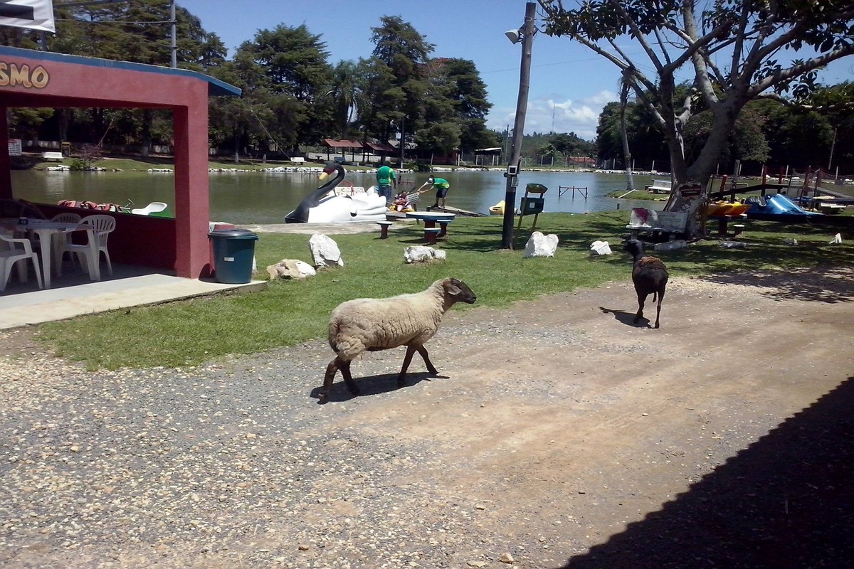 MACAQUINHOS CHALÉS 