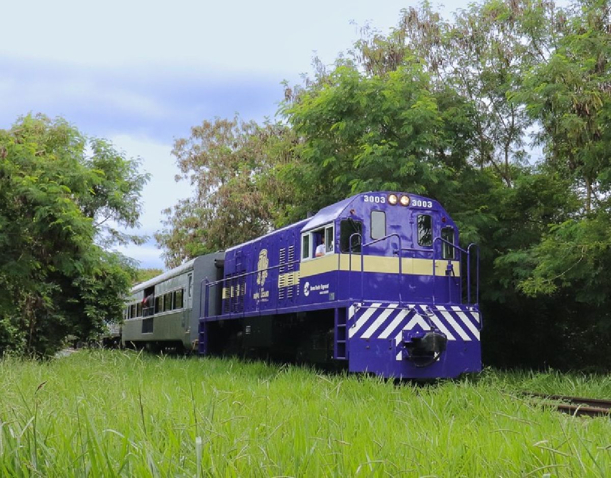 Aniversário de São Paulo: moradores da capital têm 50% de desconto no Trem da República
