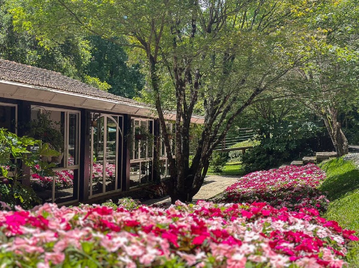 Aniversário de SP: Aproveite o final de semana para um roteiro gastronômico na Casa Bambuí