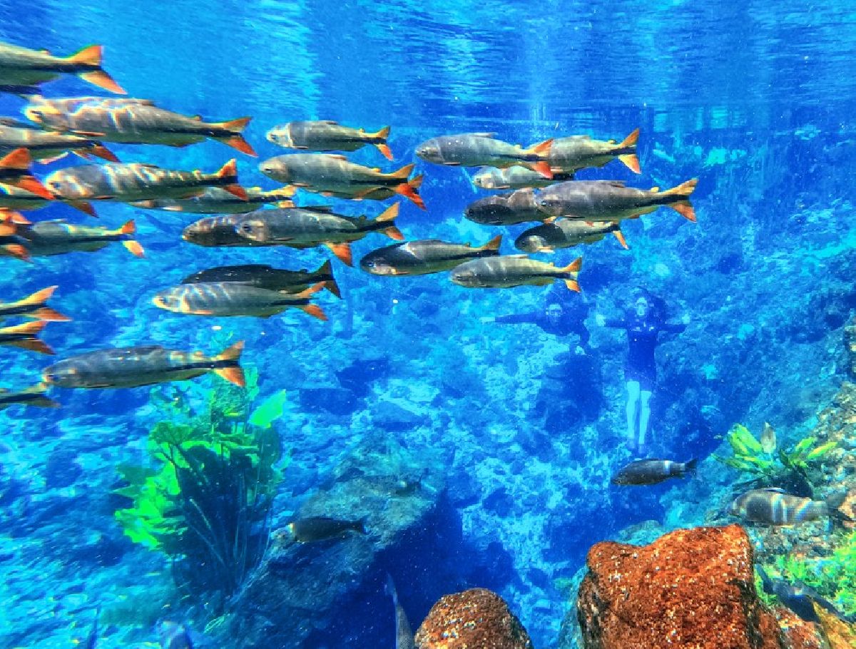 Semana Santa na Nascente Azul tem ecoturismo para toda a família