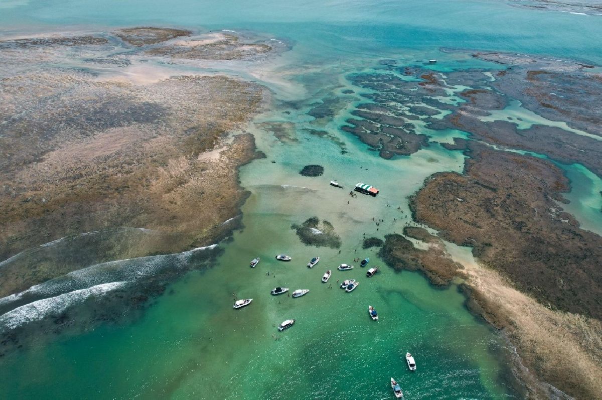 Workshop Visite Morro 2026: evento posiciona Morro de São Paulo como destino estratégico do turismo nacional