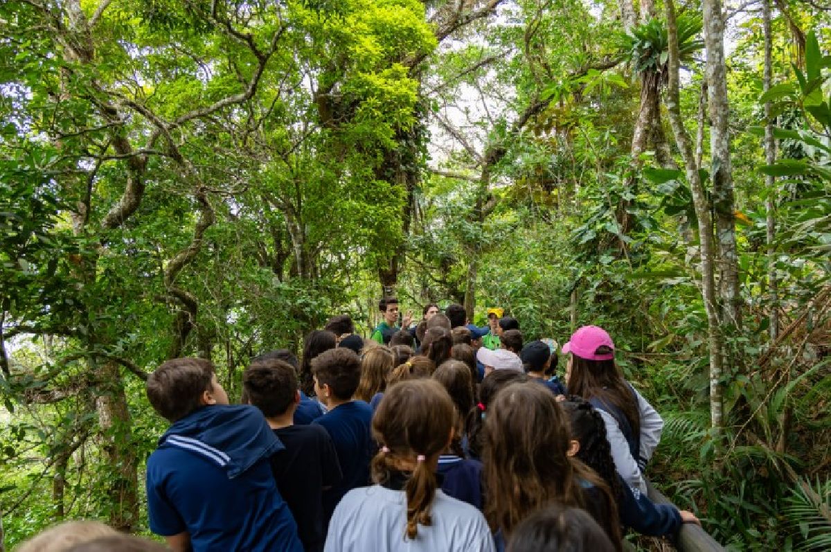 Projeto Parque Escola: agenda aberta para uma aventura educativa na Mata Atlântica