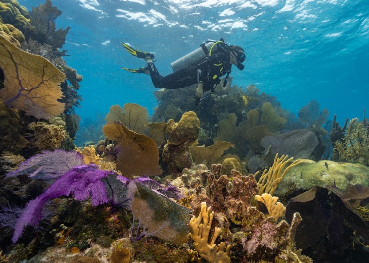 Belize entre agosto e novembro: as vantagens de viajar fora da temporada