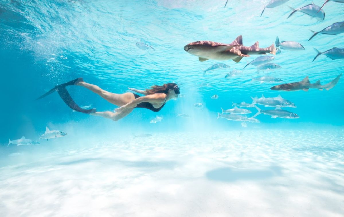 Nas Bahamas, o paraíso também é sustentável!