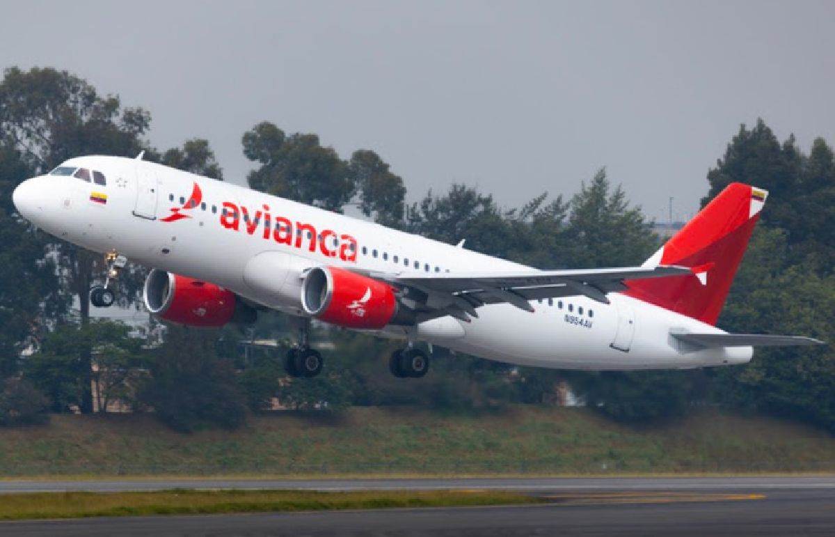 Avianca consolida sua conectividade no Brasil: alcançará 56 frequências semanais para a alta temporada