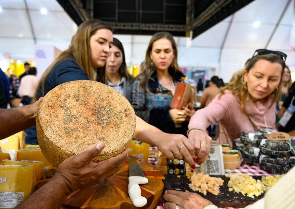 Festival do Queijo Artesanal de Minas terá oficinas gastronômicas e agenda de relacionamento com compradores de vários estados