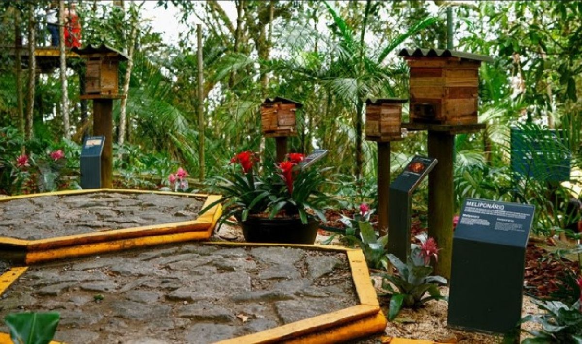 Parque Bondinho Pão de Açúcar® promove Semana do Meio Ambiente com experiências imersivas, educação ambiental e ações de conservação