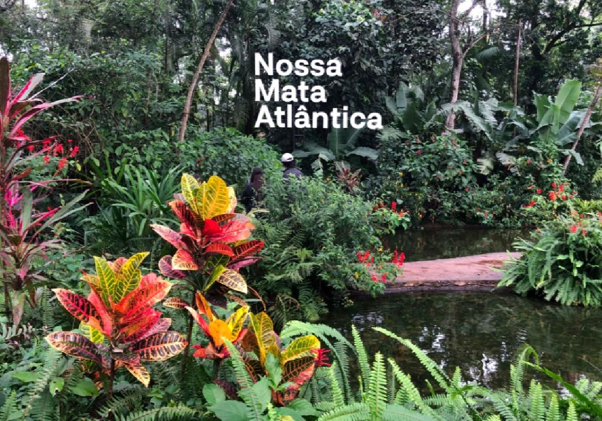 Parque das Aves leva mensagem de conservação ao FIT Cataratas e reforça protagonismo do turismo sustentável em Foz do Iguaçu