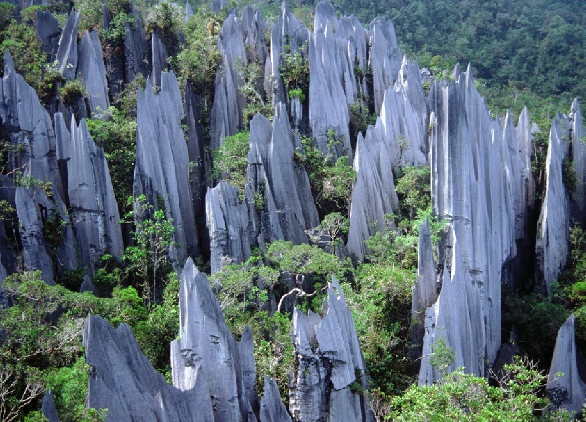 Malásia revela experiências imersivas entre florestas tropicais, cavernas e biodiversidade única