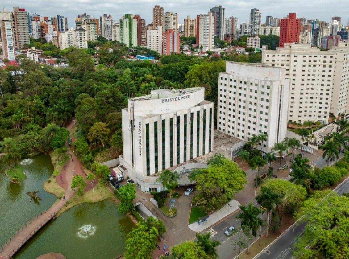 Do roteiro à hospedagem: Guia prático da Rede Bristol para viajar com pets pelo Brasil