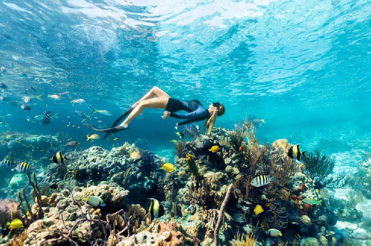 Nas profundezas do paraíso: explorar o mar é uma das melhores formas de conhecer as Bahamas