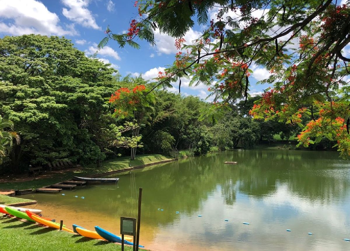 Entre feriados, Natal e Réveillon, o Hotel Fazenda Areia Que Canta prepara uma temporada de experiências de charme, natureza e gastronomia em Brotas/SP
