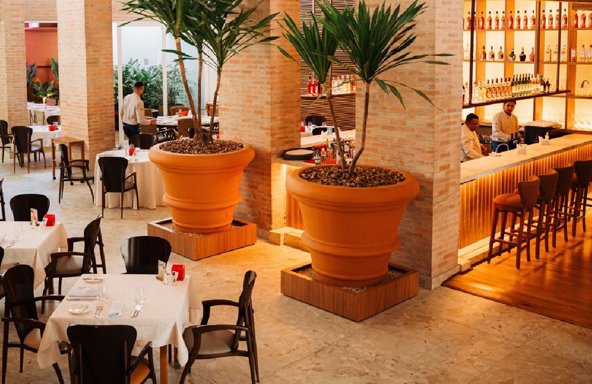 Bellini Ristorante, do Vitória Hotel Concept Campinas, traz experiência inédita para o Brasil com jantar imersivo que une gastronomia e arte